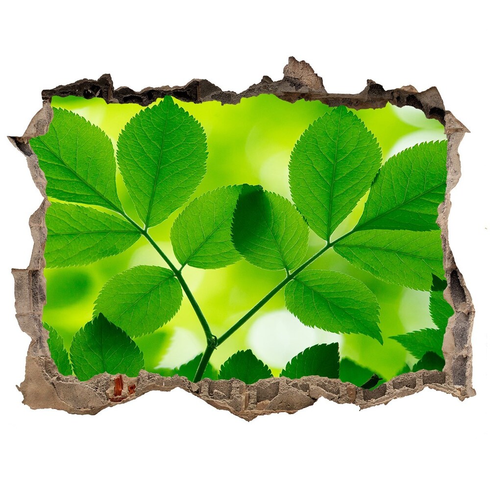 Samolepící díra nálepka Zelené listí