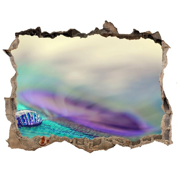 Díra 3D fototapeta na stěnu Kapka na pávím peru