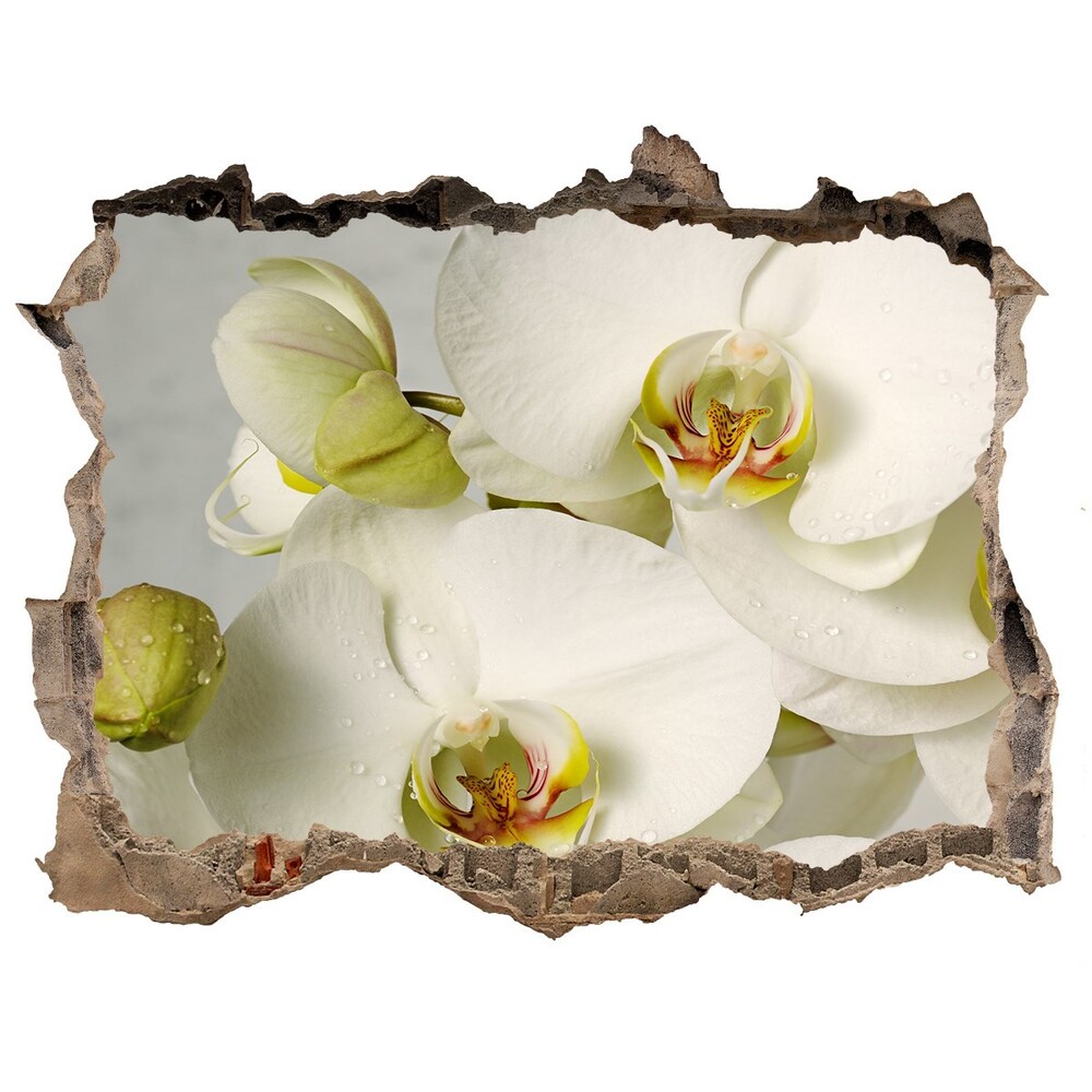 Samolepící díra nálepka Bílá orchidej