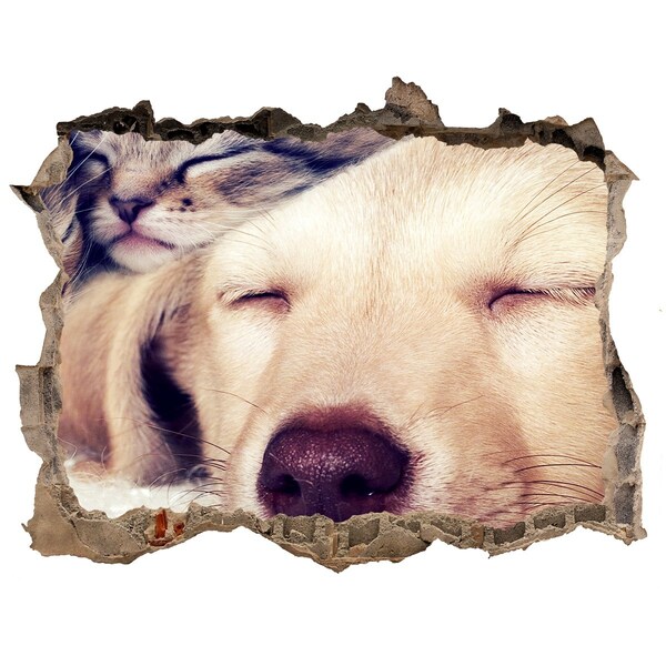 Díra 3D fototapeta na stěnu Roztomilý pes v díře ve zdi