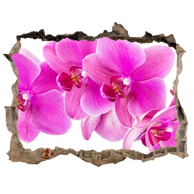Samolepící díra nálepka Růžová orchidej