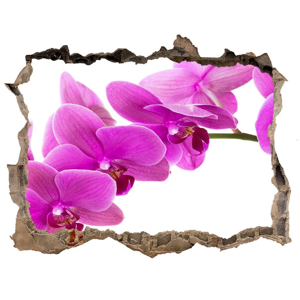 Samolepící díra nálepka Růžová orchidej