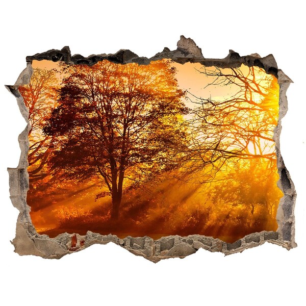 Nálepka fototapeta 3D výhled Zlaté paprsky slunce v lese