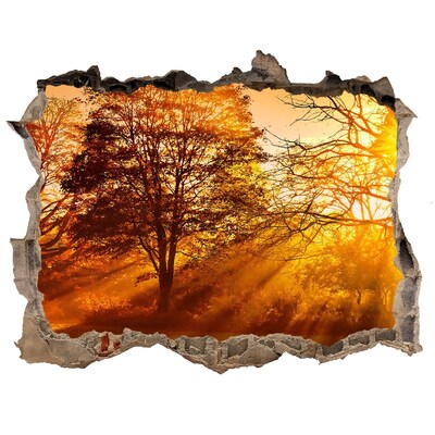 Nálepka fototapeta 3D výhled Zlaté paprsky slunce v lese