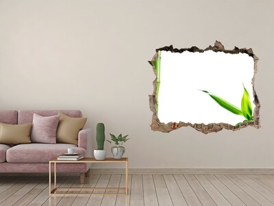 Samolepící díra na stěnu nálepka Bambus