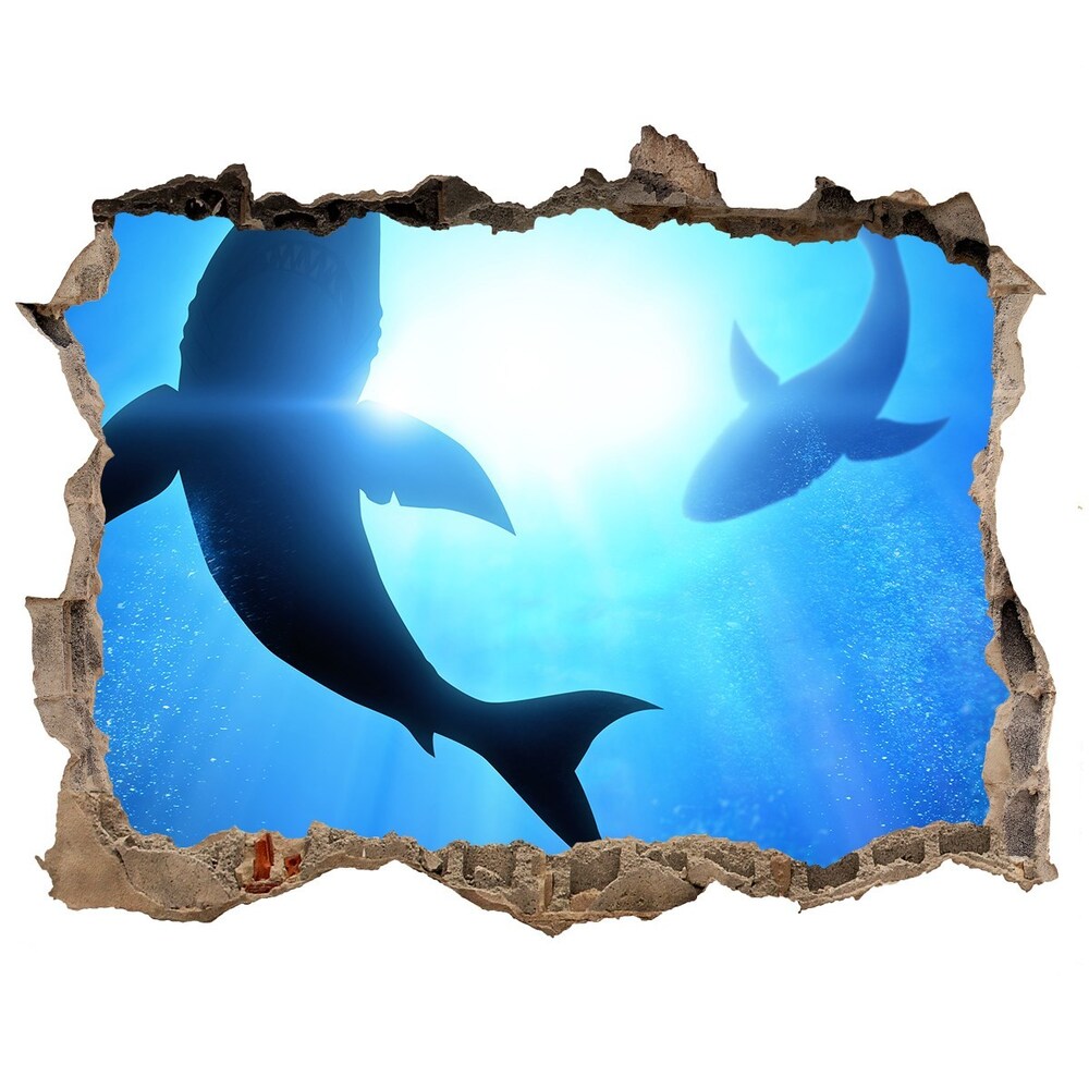 Díra 3D fototapeta nálepka Dva žraloci