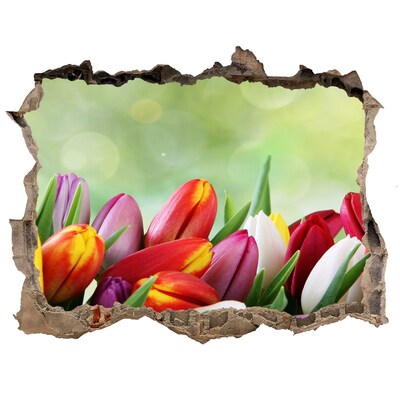 Samolepící díra na stěnu Barevné tulipány