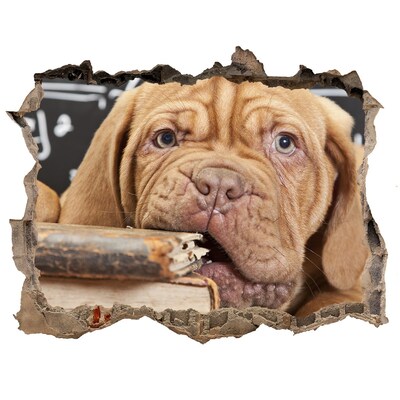 Díra 3D fototapeta Roztomilé štěňátko mezi knihami