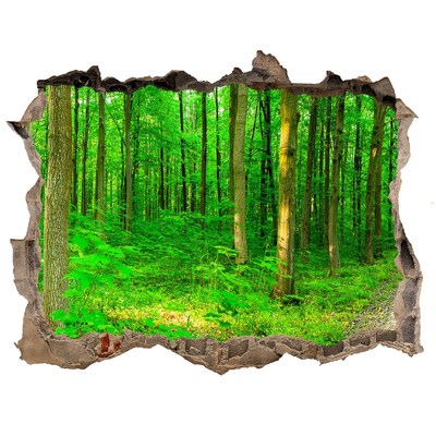 Samolepící díra nálepka Stromy v lese