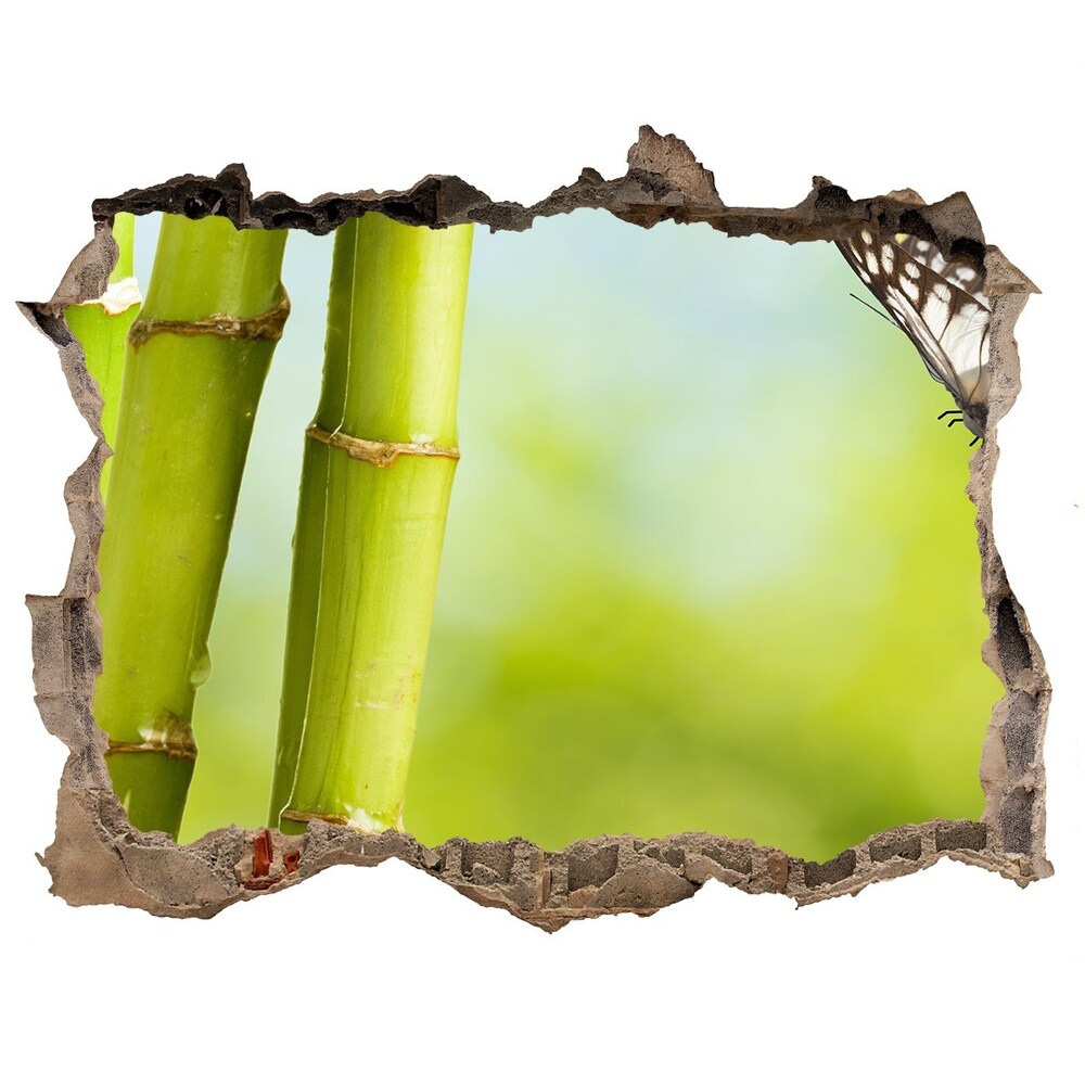 Samolepící díra nálepka Bambus a motýl