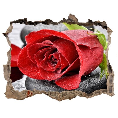 Samolepící díra na stěnu Červená růže