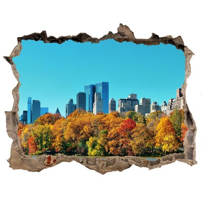 Fototapeta díra na zeď 3D New York podzim