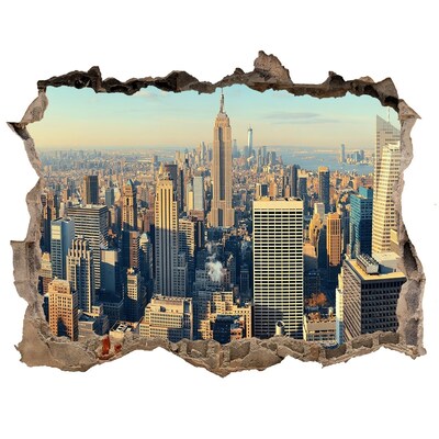 Fototapeta díra na zeď 3D Pohled na New York