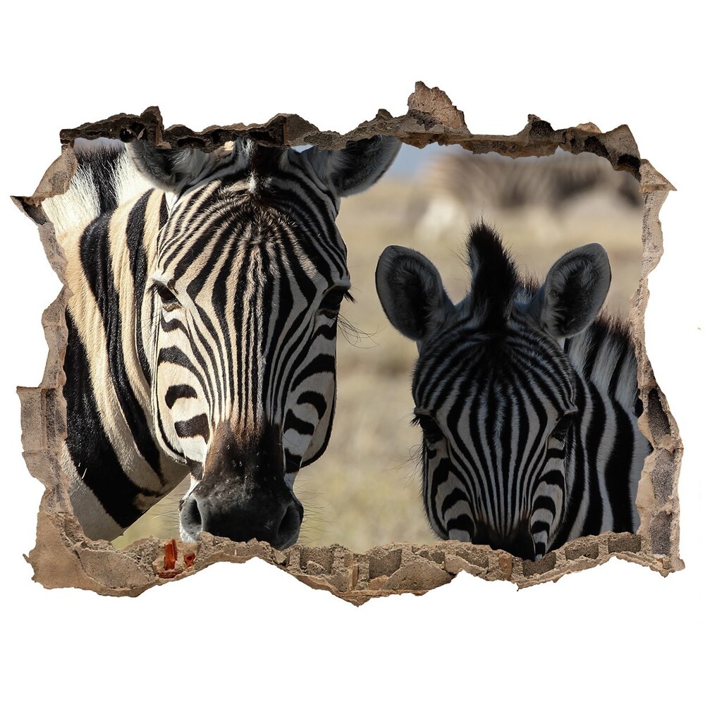 Díra 3D fototapeta nálepka Dvě zebry