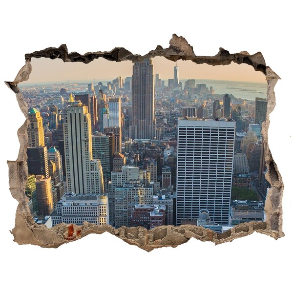 Fototapeta díra na zeď 3D Manhattan New York