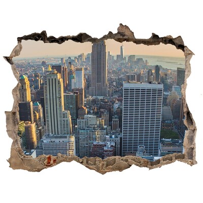 Fototapeta díra na zeď 3D Pohled na New York