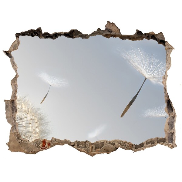 Fototapeta díra na zeď Pampelišky v oblacích