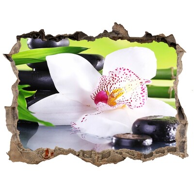 Samolepící díra na stěnu nálepka Květinová oáza klidu