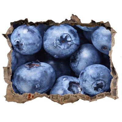 Nálepka 3D díra beton Bobule v betonu