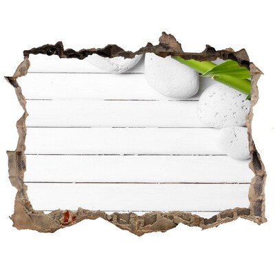 Samolepící díra na stěnu nálepka Zelená oáza v betonu