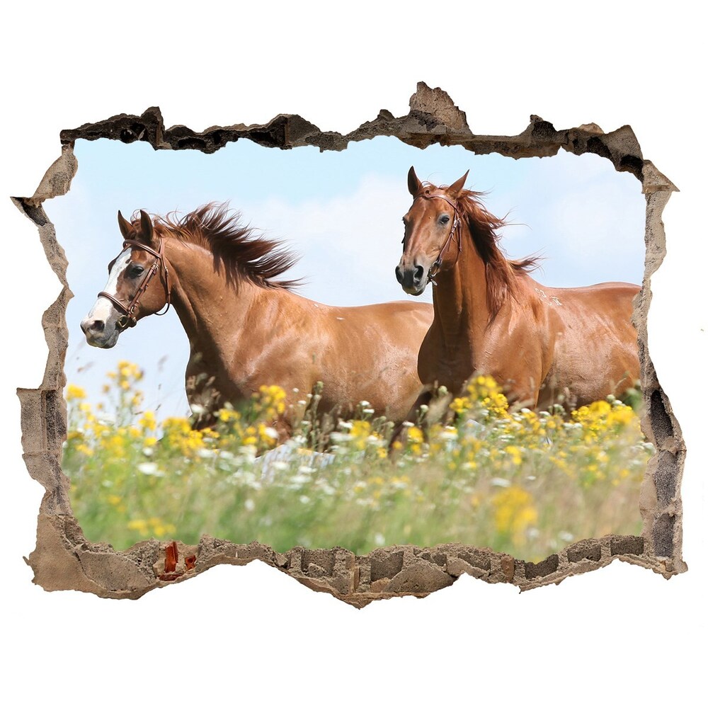 Díra 3D fototapeta Dva koně ve cvalu