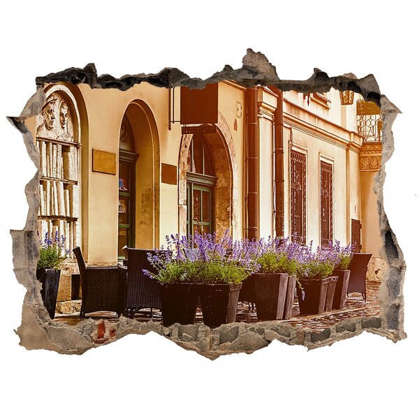 Fototapeta díra na zeď 3D Okouzlující koutek s levandulí