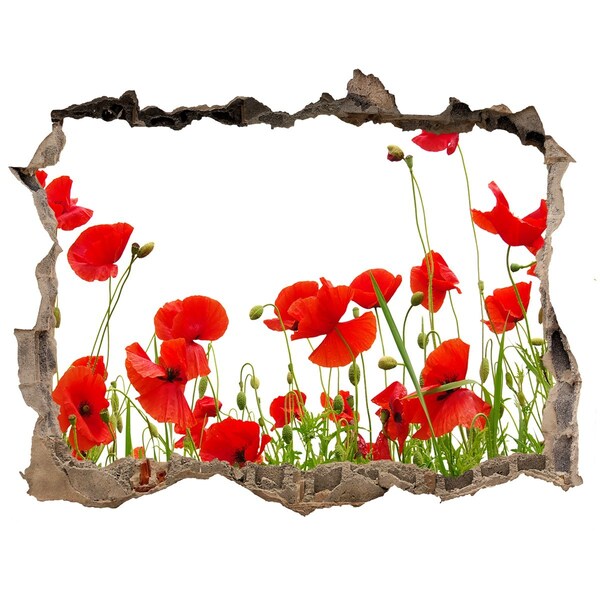 Samolepící díra nálepka beton Květinový ráj v betonu