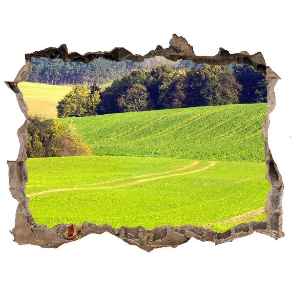 Nálepka fototapeta 3D výhled Zelená louka za zdí