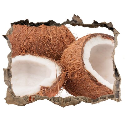 Nálepka 3D díra na zeď Kokosové poklady