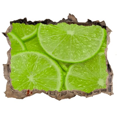 Nálepka 3D díra na zeď beton Citronový ráj