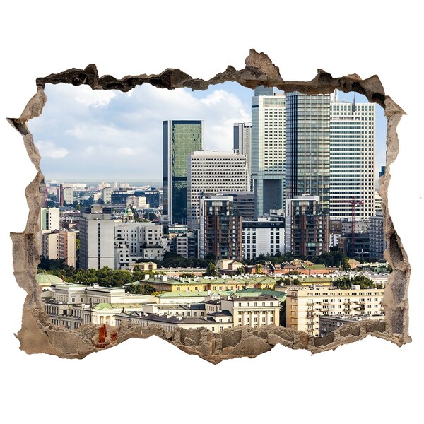 Fototapeta díra na zeď 3D Pohled na moderní město