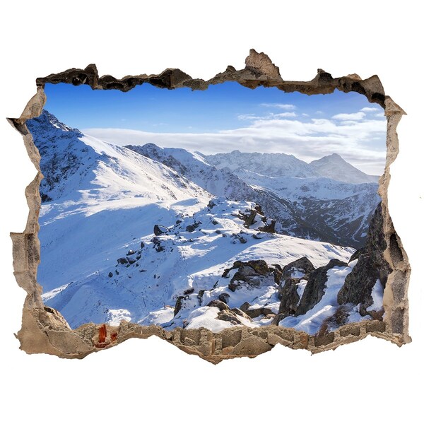 Nálepka fototapeta 3D Tatry