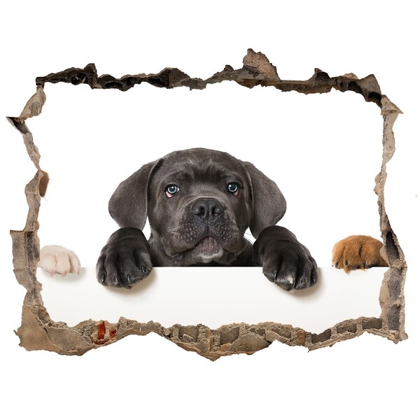 Díra 3D fototapeta nálepka Roztomilé štěně zpoza zdi