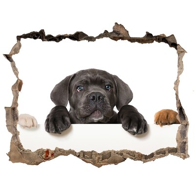 Díra 3D fototapeta nálepka Roztomilé štěně zpoza zdi