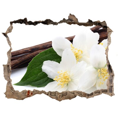 Samolepící díra na stěnu Jasmínové květy v betonu