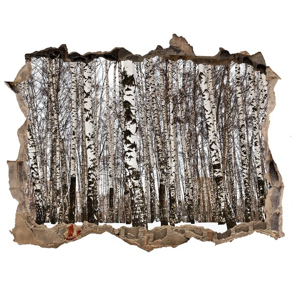 Nálepka fototapeta 3D výhled Zimní březový les