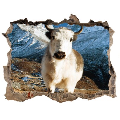 Díra 3D fototapeta nálepka Horský buvol v díře ve zdi