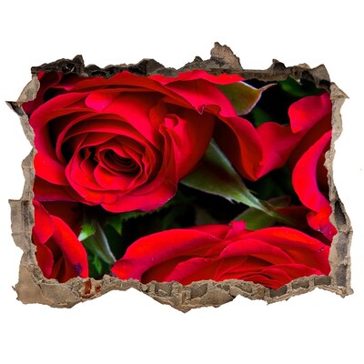 Samolepící díra nálepka Červené růže