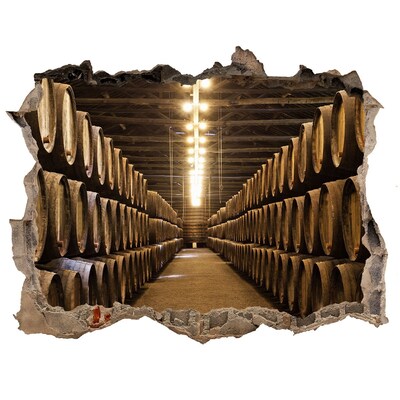 Fototapeta díra na zeď 3D Vinárna v Porto