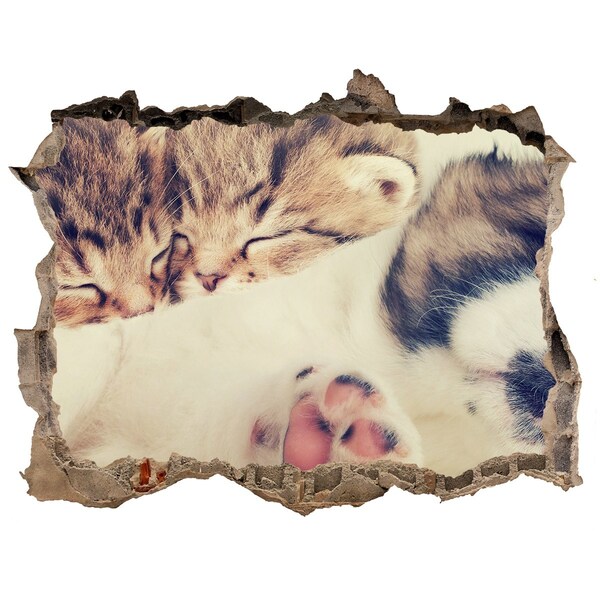 Díra 3D fototapeta na stěnu Roztomilá koťátka v díře ve zdi