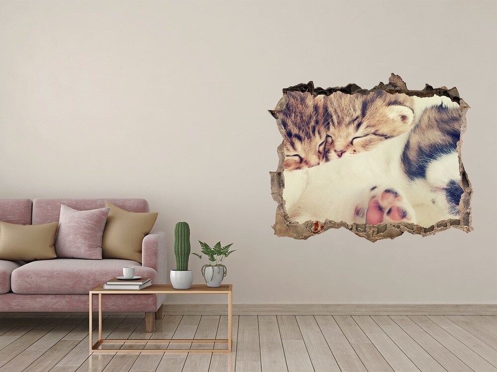 Díra 3D fototapeta na stěnu Dvě kočky a pes