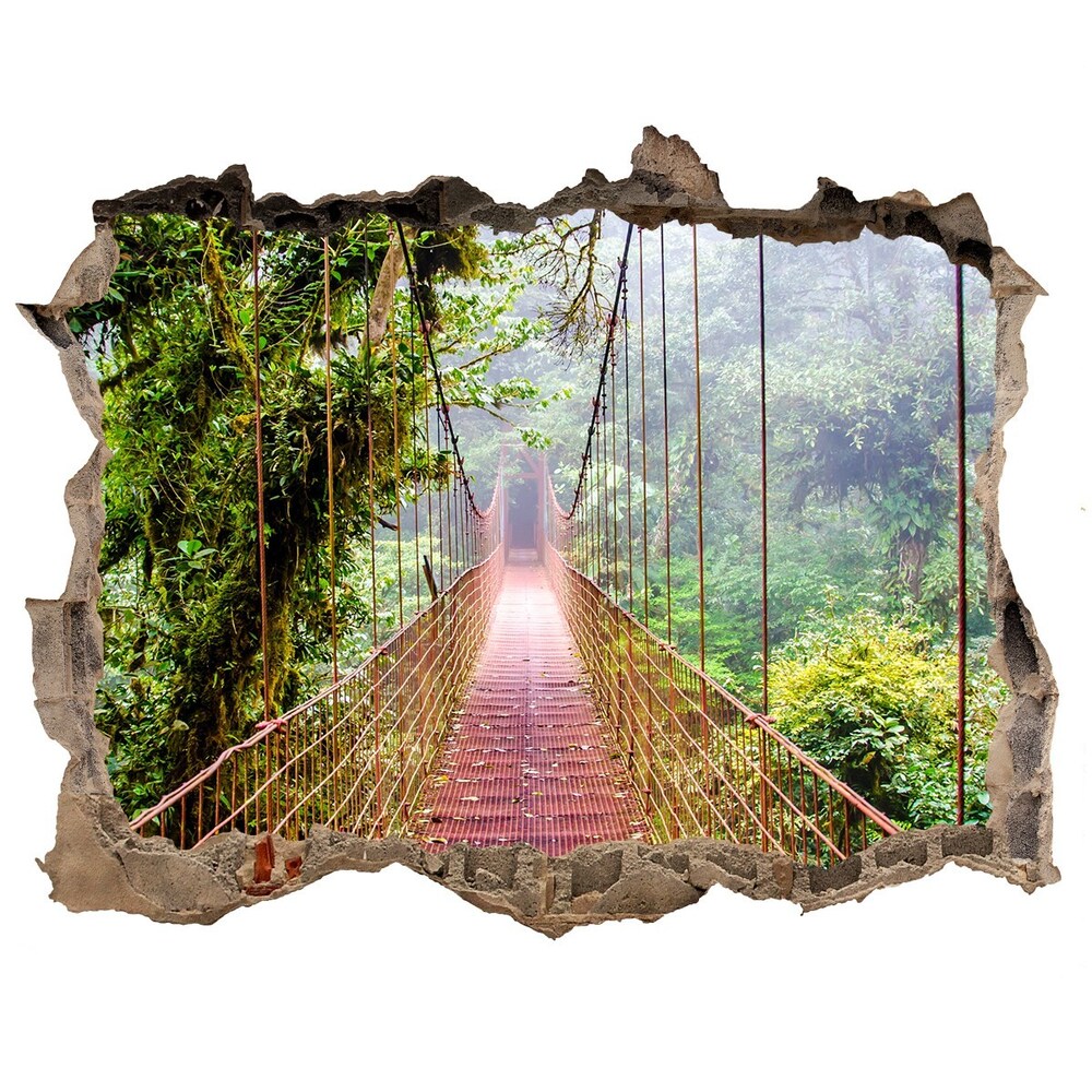 Nálepka fototapeta 3D na zeď Most v pralese