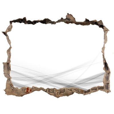 Díra 3D fototapeta na stěnu Zničená zeď s výhledem na prostor