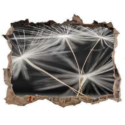 Samolepící díra nálepka Květy pampelišky v betonu