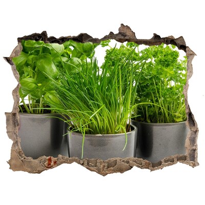 Samolepící nálepka Zelená zahrada v květináčích