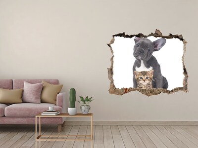 Díra 3D fototapeta na stěnu Pes a kočka