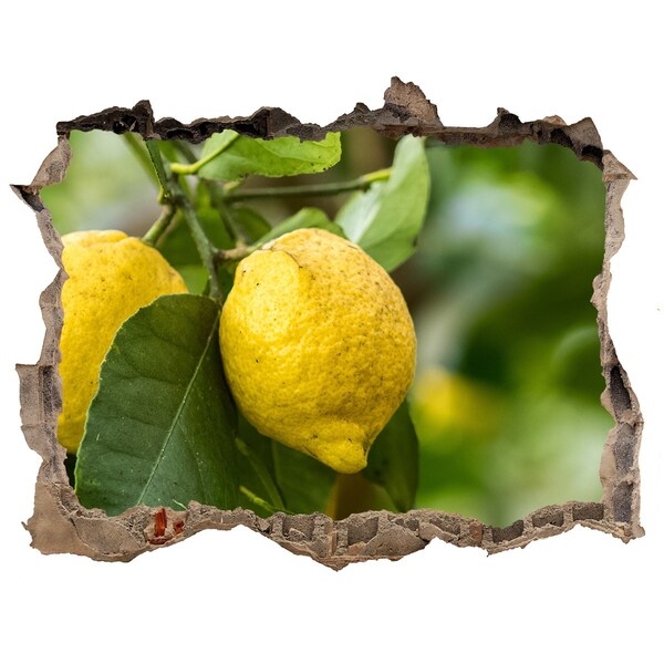 Samolepící nálepka Citronová zahrada za zdí