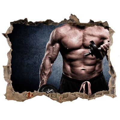 Foto fotografie díra na zeď Pohon v akci