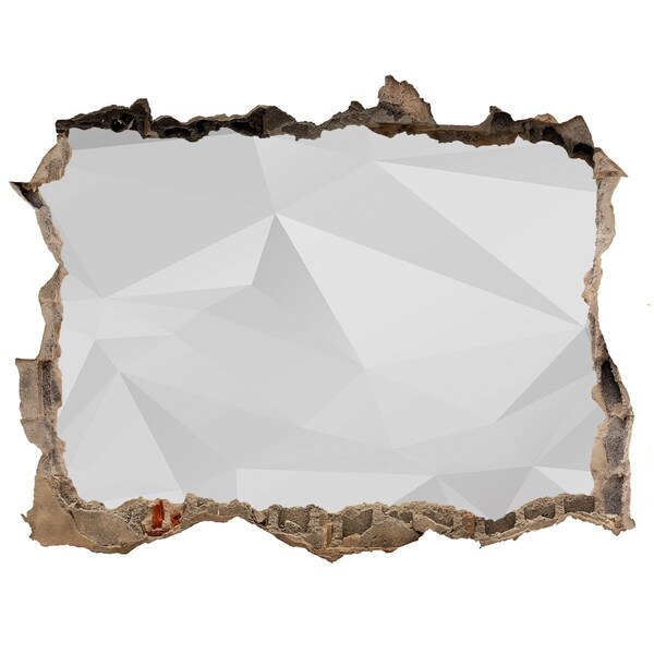 Díra 3D fototapeta na stěnu Rozbitá zeď s odrazem