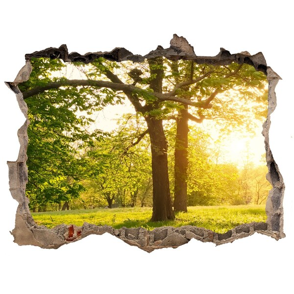 Nálepka fototapeta 3D výhled Zelený ráj mezi stromy